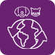 International
